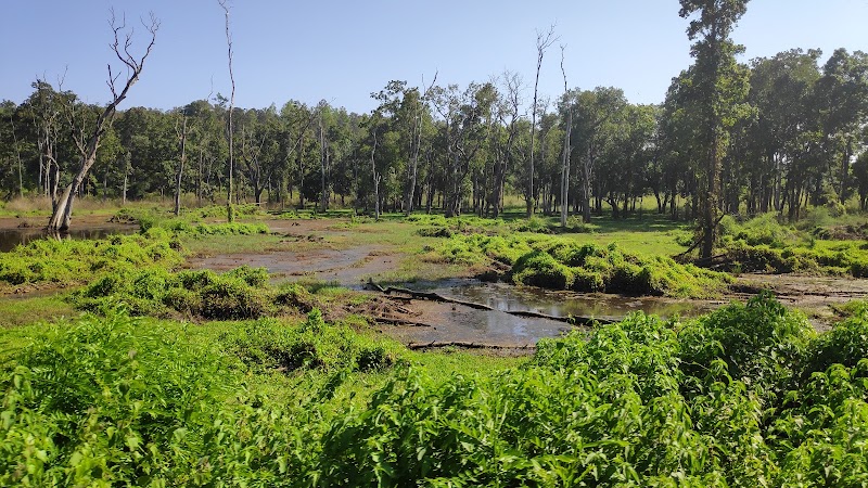 Wayanad Wildlife Santuray - Wayanad Wildlife Santuray W23F+GRQ, Thirunelly Rd, Kerala 670646, India