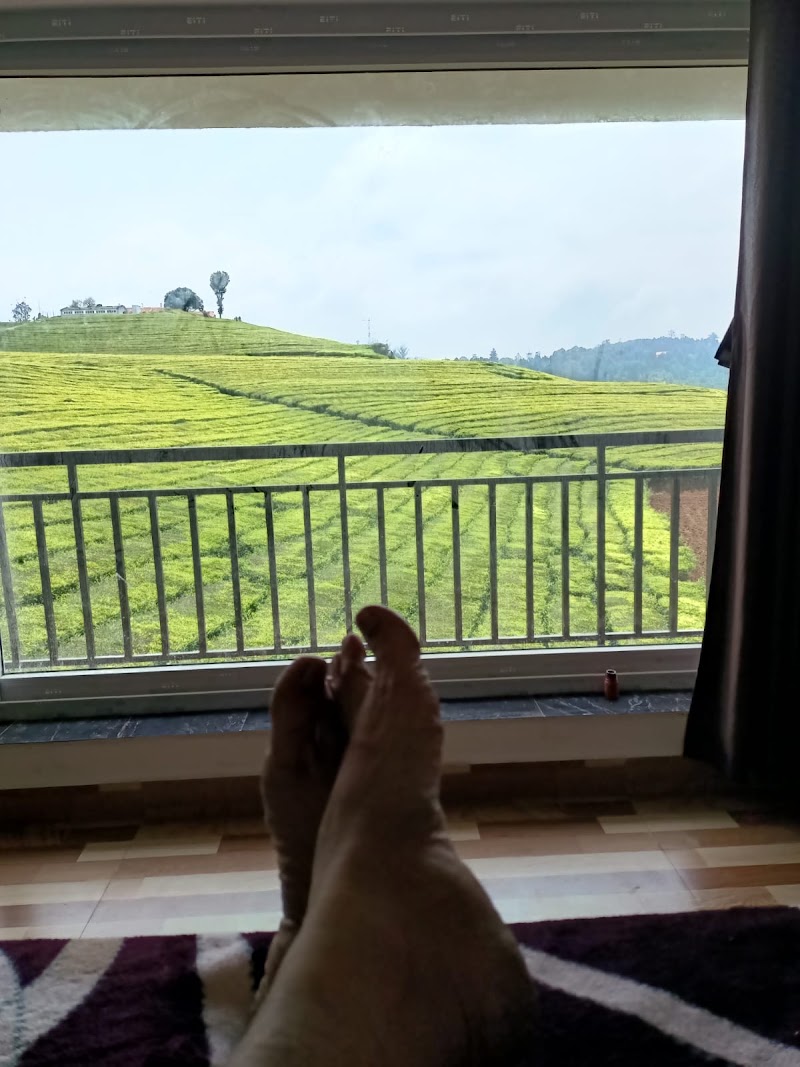 Tea Estate view Stay - Tea Estate view Stay SF No: G/1/44/1, Thittukkal Salai, Governor, Sola road, West Mere, Ooty, Tamil Nadu 643004, India