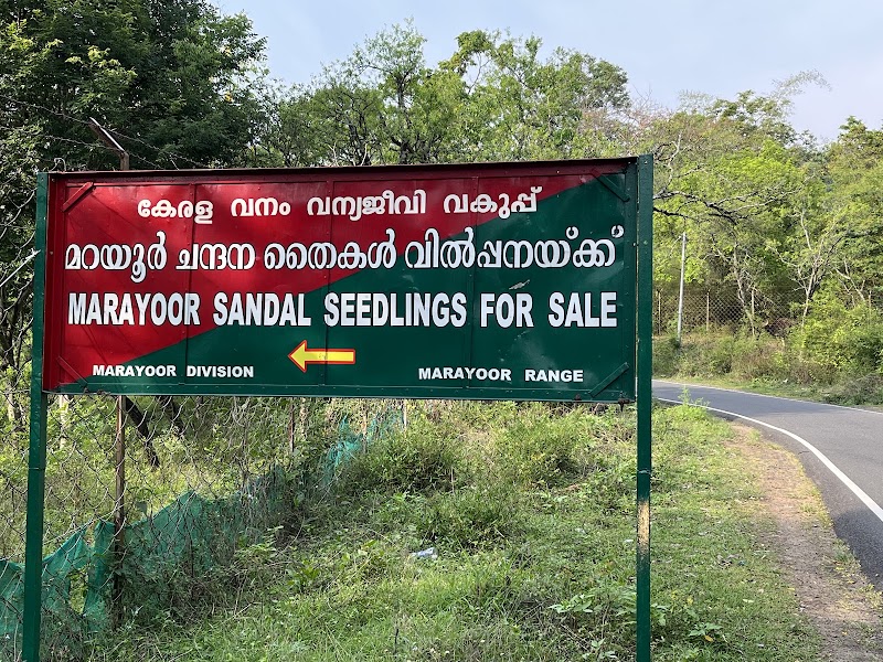 Marayoor Sandalwood Forest - Marayoor Sandalwood Forest Marayoor, Kerala 685620, India