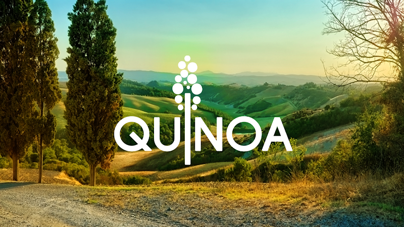 Ristorante Quinoa - Ristorante Quinoa, Vicolo di Santa Maria Maggiore, 1, 50123 Firenze FI, Italy