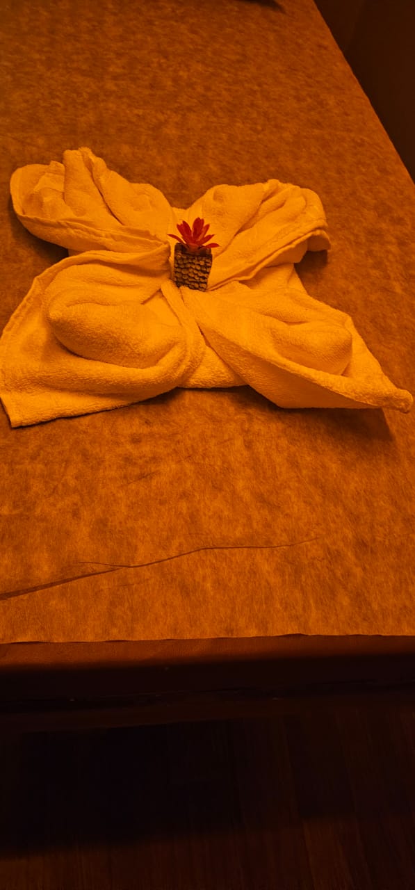 Spa Next (Spa In Panaji) - Spa Next (Spa In Panaji) Shop No. S14, Ground Floor, Gera Imperium Star, opposite Ginger Hotel, Patto Centre, Panaji, Goa 403001, India