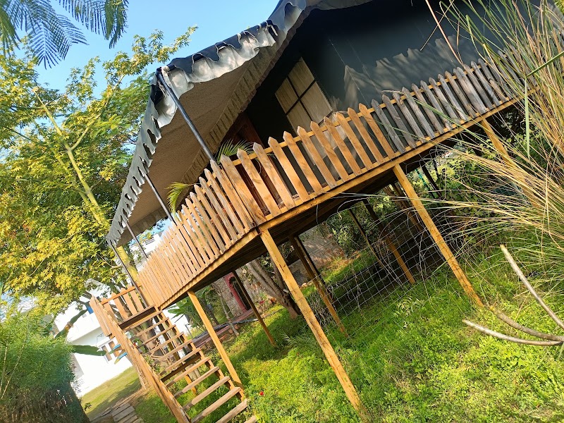 Maa Ashapura Farm Stay