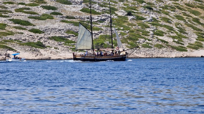 Dalmatia Adventures - Dalmatia Adventures, ul. kralja tvrtka 17, 23211, Pakoštane, Croatia