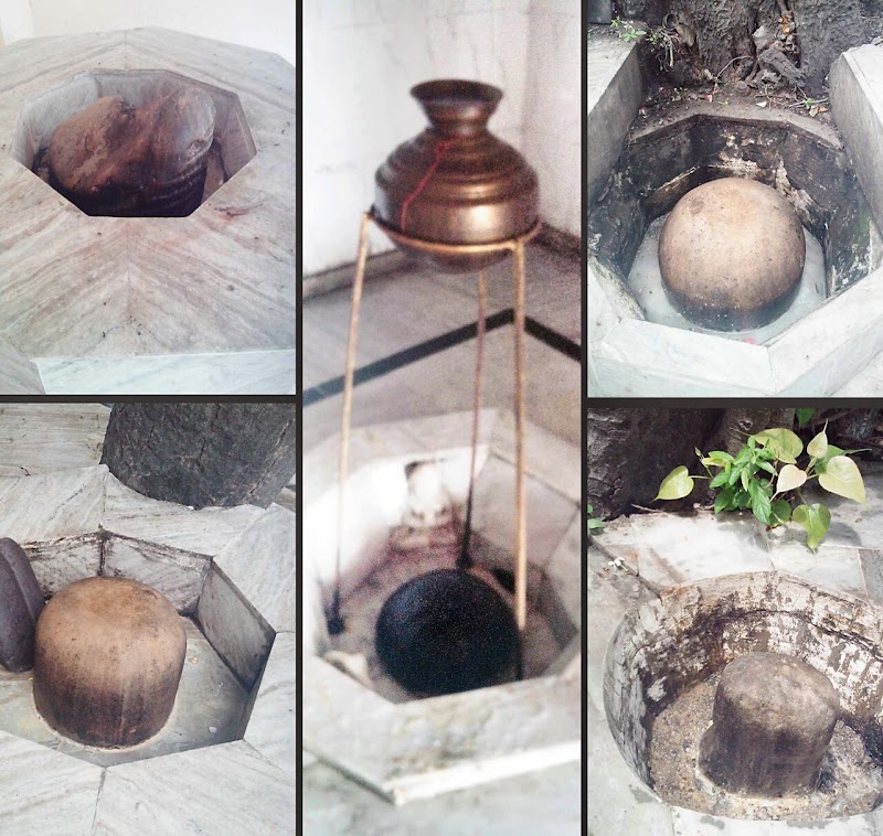 Saini - Saini, Uttar Pradesh 250001, India