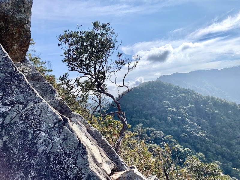 鳶嘴稍來小雪山國家步道木梯 - 鳶嘴稍來小雪山國家步道木梯, Heping District, Taichung City, Taiwan 424