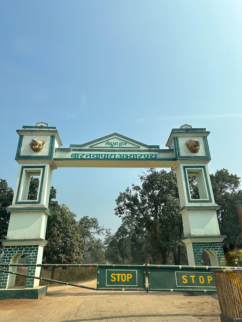 Barnawapara Wildlife Sanctuary - Barnawapara Wildlife Sanctuary, Unnamed Road, Nanwapara, Chhattisgarh 493551, India