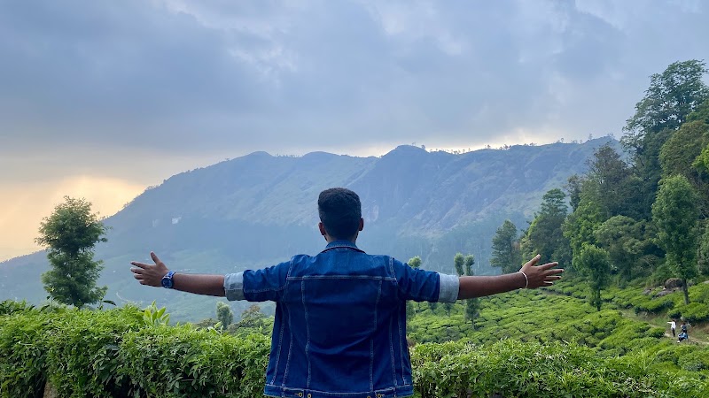 MUNNAR TRIP PLANNERS - MUNNAR TRIP PLANNERS New Colony, Munnar, Kerala 685612, India