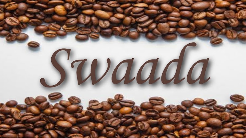Swaada || Davanagere - Swaada || Davanagere, NH4, beside kisan Bandhu vevasaya besaya nursery, opp. to Bharath petroleum, Kunduwada, Davangere, Karnataka 577004, India