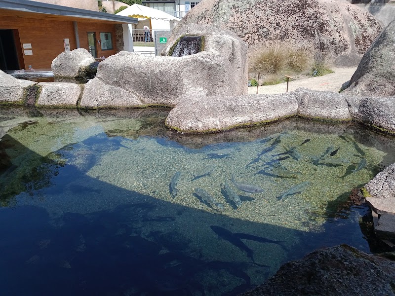 Aquarium Trégastel - Aquarium Trégastel, 37 Bd du Coz-Pors, 22730 Trégastel, France