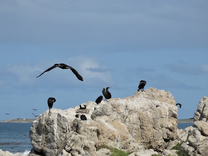 Betty's Bay - Betty's Bay, 7141, South Africa