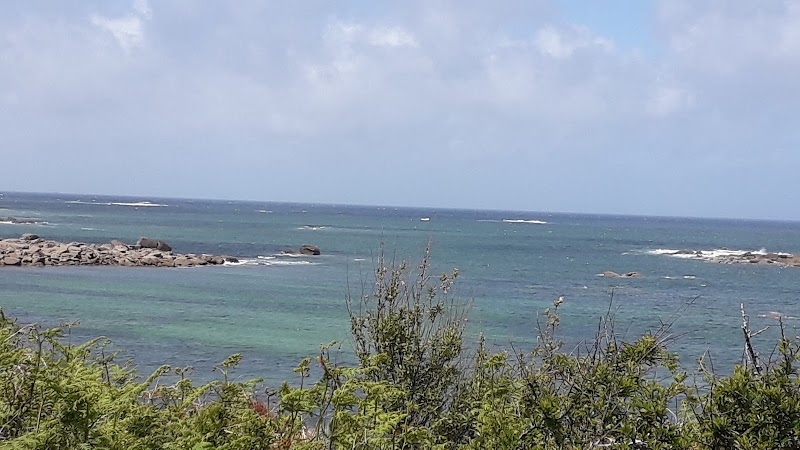 Lande de Bringwiller - Lande de Bringwiller, 51 Rte de Bringuiller, 22560 Trégastel, France
