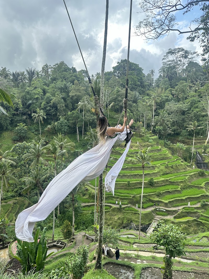 Ubud Quad Bikes - Ubud Quad Bikes Jl. Raya Mawang, Lodtunduh, Kecamatan Ubud, Kabupaten Gianyar, Bali 80571, Indonesia