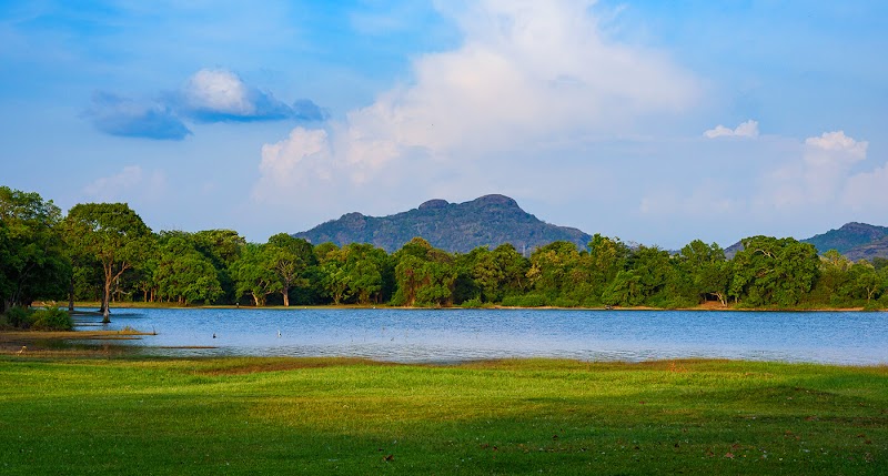 Kandalama Bunt - Kandalama Bunt VMJR+7VG, Unnamed Road, Dambulla, Sri Lanka