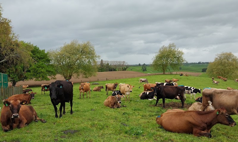 Country Retreat BnB - Country Retreat BnB, 277A Buckland Road, R.D.2, Matamata 3472, New Zealand