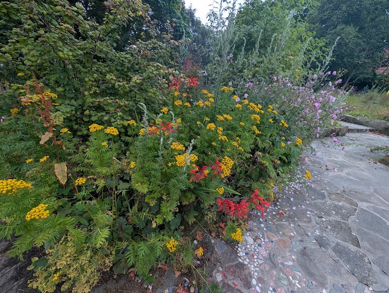 Sunflower Bed & Breakfast - Sunflower Bed & Breakfast, 404, Field of Dreams, The Park, Findhorn, Forres IV36 3TA, UK