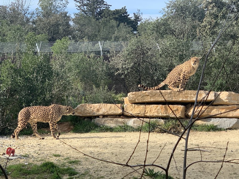 Zoo de Montpellier - Zoo de Montpellier 50 Av. Agropolis, 34090 Montpellier, France
