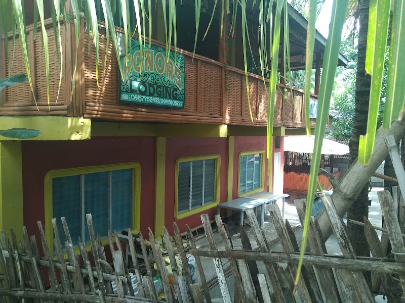 Elnor’s Homestay - Elnor’s Homestay, Near Apo Island High School, 37G9+CPG, Apo Island, Dauin, Lalawigan ng Negros Oriental, Philippines