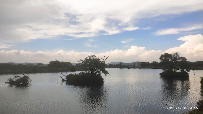 Moyar Dam - Moyar Dam JM2R+P8W, Moyar Dam Rd, Masinagudi, Tamil Nadu 643223, India