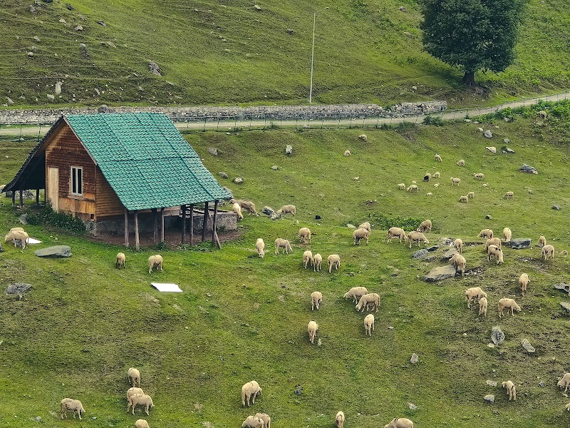Sonamarg - Sonamarg Sonamarg 191202