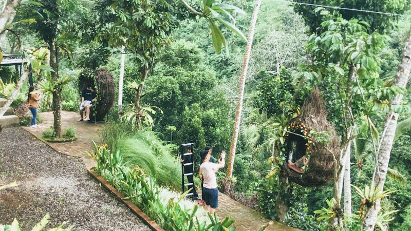 Jungle Swing Bali - Jungle Swing Bali, Buahan, Payangan, Gianyar Regency, Bali 80572, Indonesia