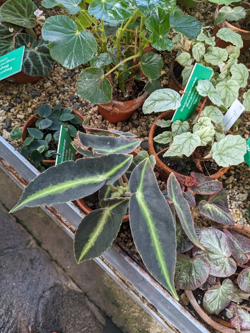 Palmenhaus im Hofgarten - Palmenhaus im Hofgarten Rennweg 12, 6020 Innsbruck, Austria