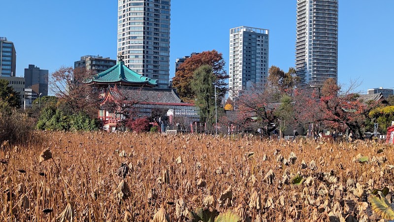 Shinobazuno Pond - Shinobazuno Pond Shinobazuno Pond, 2 Uenokoen, Taito City, Tokyo 110-0007, Japan