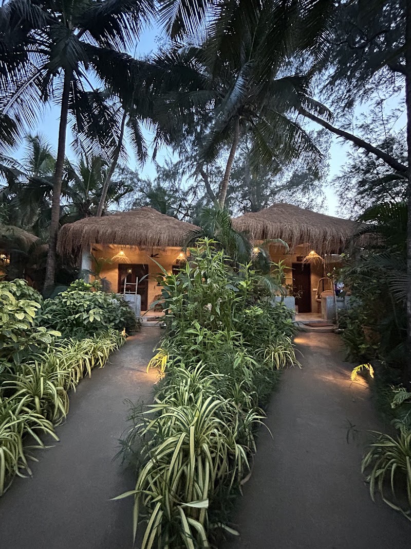 Palm Grove Beach Resort - Palm Grove Beach Resort Ashvem Beach, Mandrem, Goa 403527, India