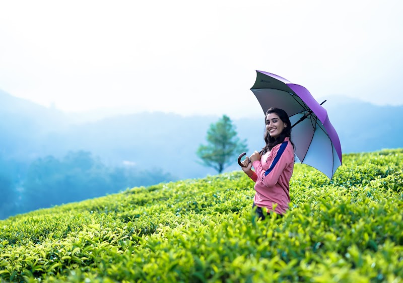 Munnar Majestic Resort - Munnar Majestic Resort Anachal - Kunchithanny Rd, Kunchithanny, Kerala 685565, India