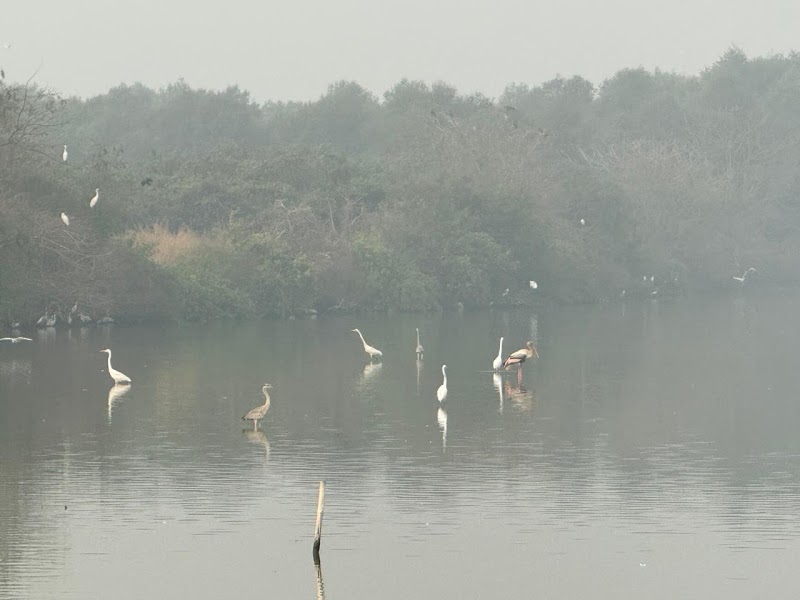 Bird Watching Area, Bhandup West (BPS) - Bird Watching Area, Bhandup West (BPS) 4XR7+QV6, Mulund East, Mumbai, Maharashtra 400042, India