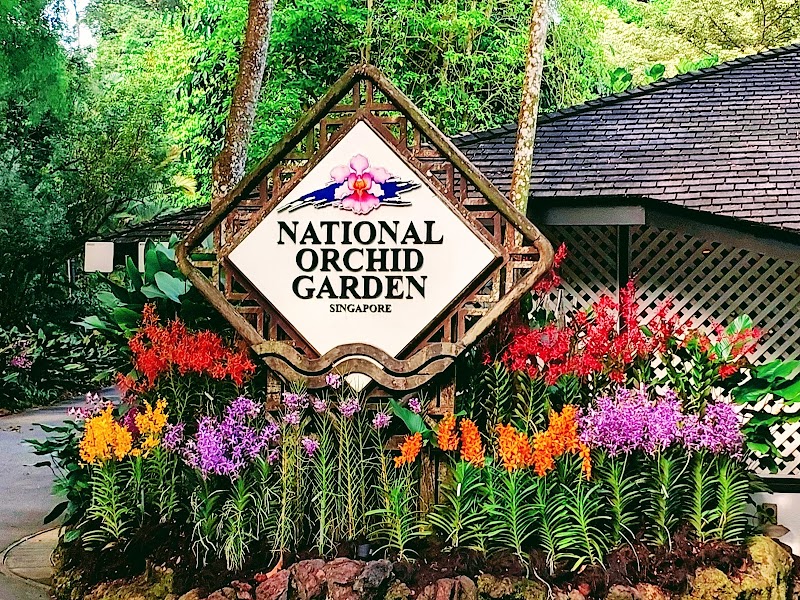 Singapore Botanic Gardens - Singapore Botanic Gardens 1 Cluny Rd, Singapore 259569