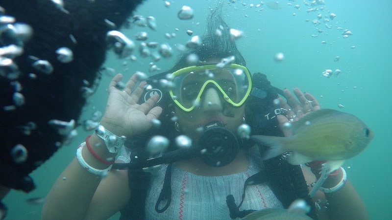 Adventure Goa DK Tours and Travels - Adventure Goa DK Tours and Travels Goa Shop no 2 near Sai Baba temple, Calangute Beach Public Parking (Paid), Umtav Vado, Calangute, Goa 403516, India