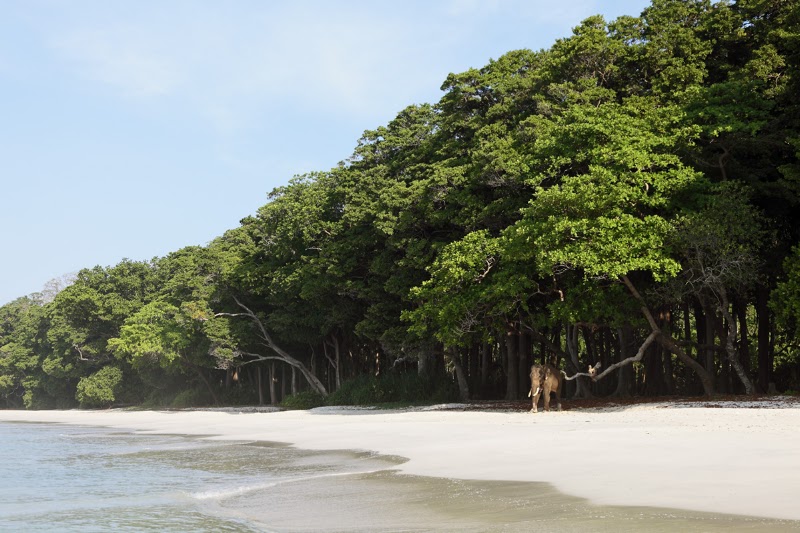 Barefoot at Havelock - Barefoot at Havelock Beach N0. 7, Radhanagar Village Havelock Island Andaman Islands Havelock Island, Island, Andaman and Nicobar Islands 744211, India