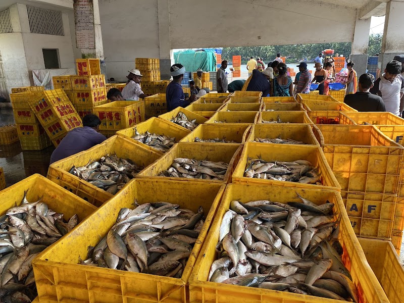 Fish market - Fish market, Malpe, Kola, Udupi, Karnataka 576108, India