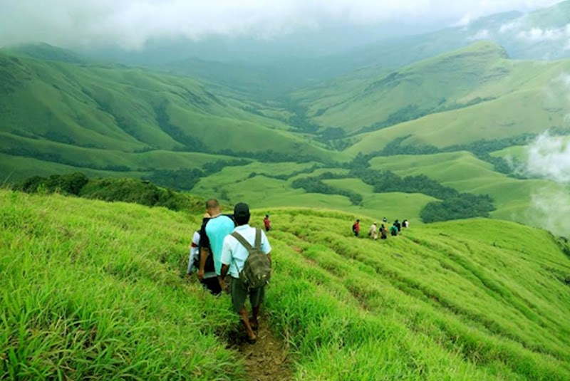 Coffee Ghiri homestay - Best homestay in Kudremukh trekking - Coffee Ghiri homestay - Best homestay in Kudremukh trekking, mullodi, balagal, kalasa, mudigere, chikmagalore, chikmagalur, Samse, Karnataka 577124, India