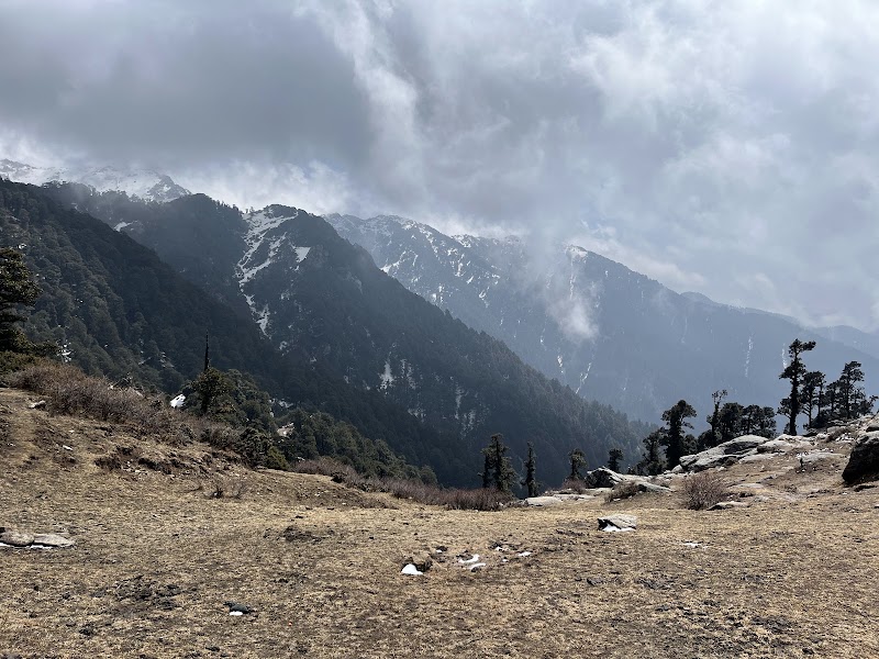 Churdhar Trek point - Churdhar Trek point, RC99+6P, Nohra, Bhog Batewari, Himachal Pradesh 173104, India