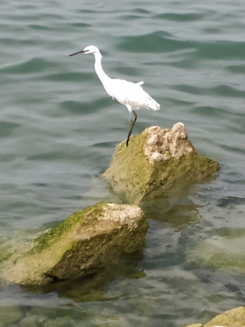 Lido Campanello - Lido Campanello Lungolago Giuseppe Garibaldi, 37019 Peschiera del Garda VR, Italy