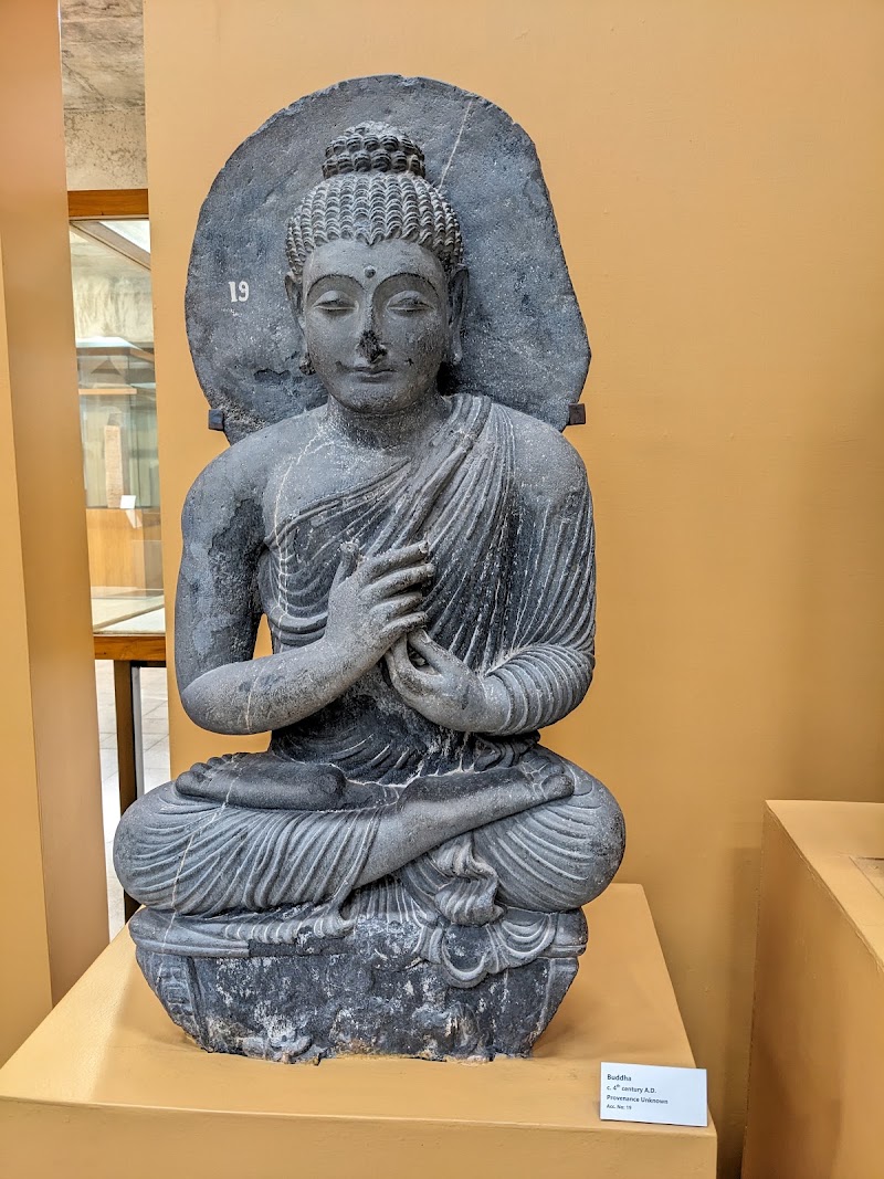 Government Museum and Art Gallery - Government Museum and Art Gallery Sector, 10C, Sector 10, Chandigarh, 160011, India