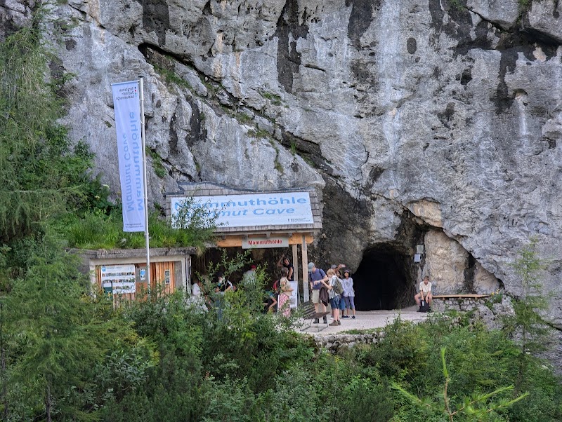 Mammut Cave - Mammut Cave, Winkl 38, 4831 Obertraun, Austria