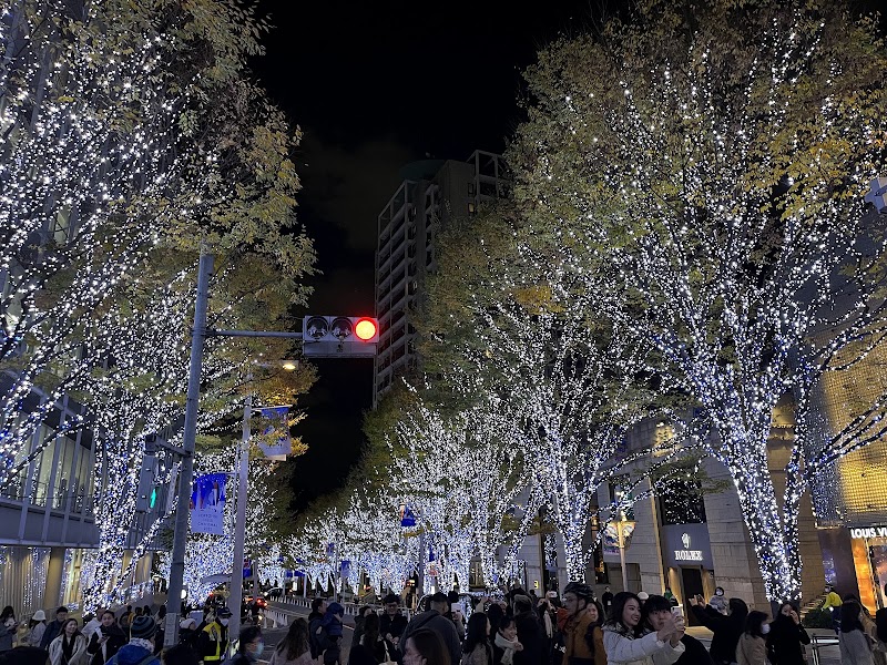 COG EXPLORER - COG EXPLORER, Japan, 〒151-0051 Tokyo, Shibuya, Sendagaya, 5-chōme−23−７ 第二代々木ハウス 1-A号室
