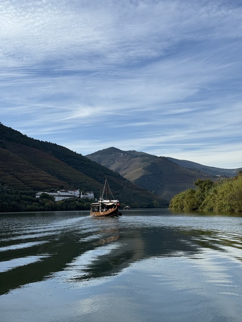 Douro Valley Wine Tours - Douro Valley Wine Tours, R. das Mimosas 4510, 4510-607 São Pedro da Cova, Portugal
