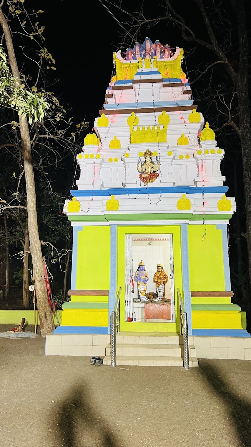 Nag Nagin Mandir (नाग देव) - Nag Nagin Mandir (नाग देव), 7VJ2+XX7, Bhandarpur, Chhattisgarh 491445, India