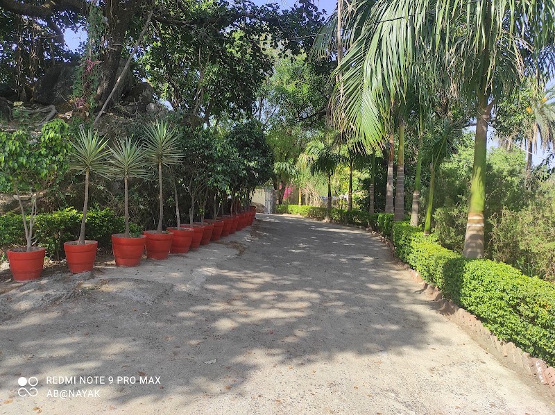 Rose cottage - A Heritage Retreat - Rose cottage - A Heritage Retreat Near, Global Hospital Rd, Mount Abu, Rajasthan 307501, India