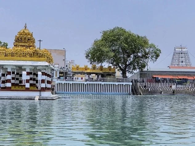 Alamelu Manga Temple - Alamelu Manga Temple Temple 1, Tiruchanoor Rd, Tiruchanur, Tirupati, Tiruchanur, Andhra Pradesh 517503, India