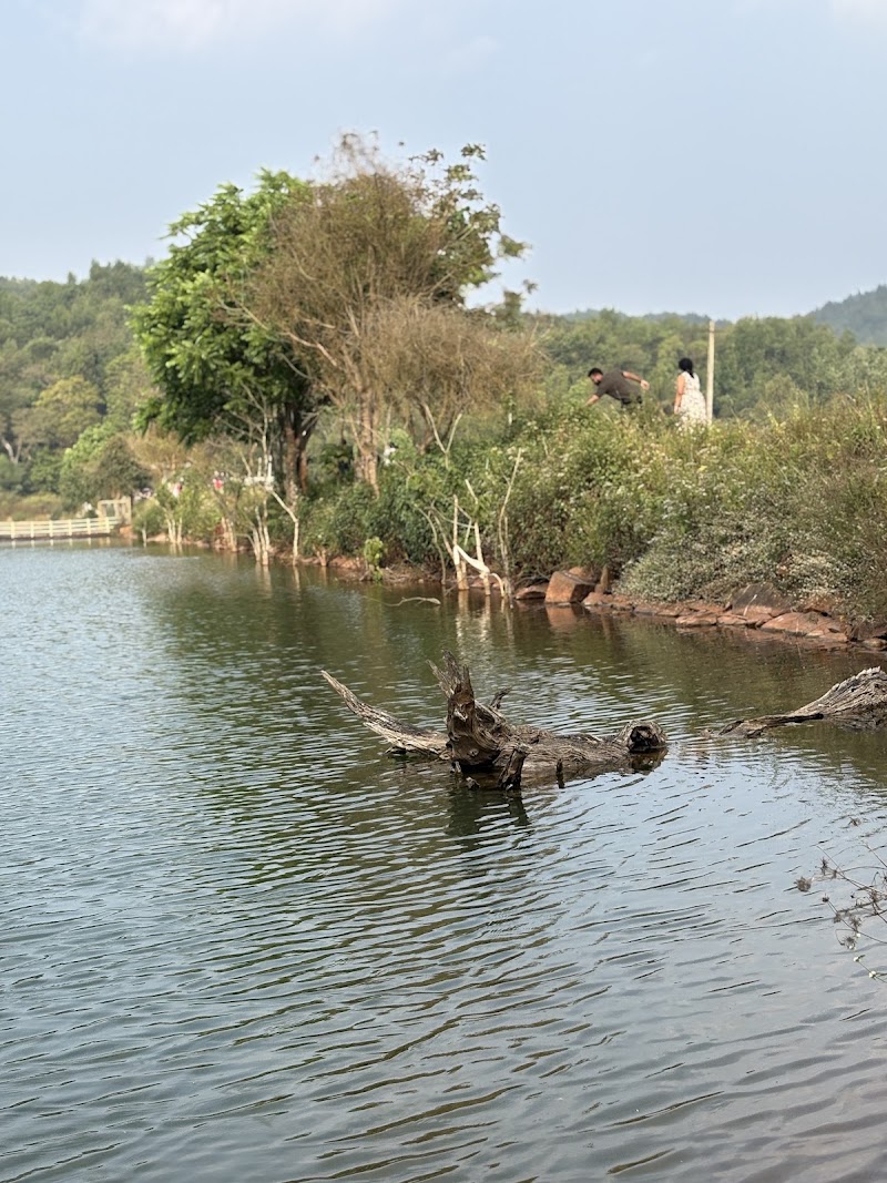Hirekolale Lake - Hirekolale Lake 9P55+GV, HirekoLale, Karnataka 577101, India