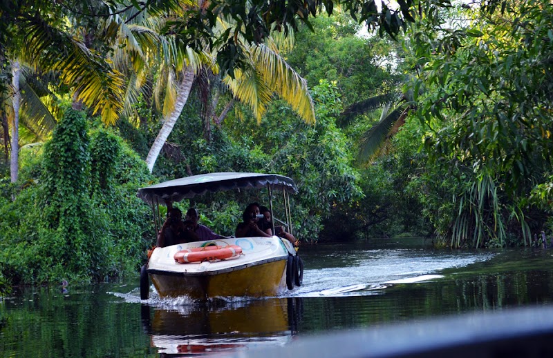 Gaviya Tours