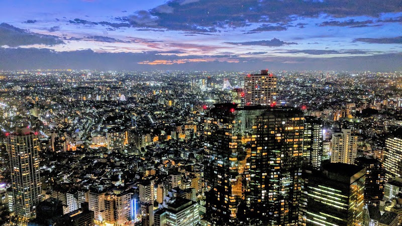 Tokyo Metropolitan Government Building | North Observation Deck - Tokyo Metropolitan Government Building | North Observation Deck Japan, 〒163-8001 Tokyo, Shinjuku City, Nishishinjuku, 2-chōme−8−１ Tochomae Station, 45F