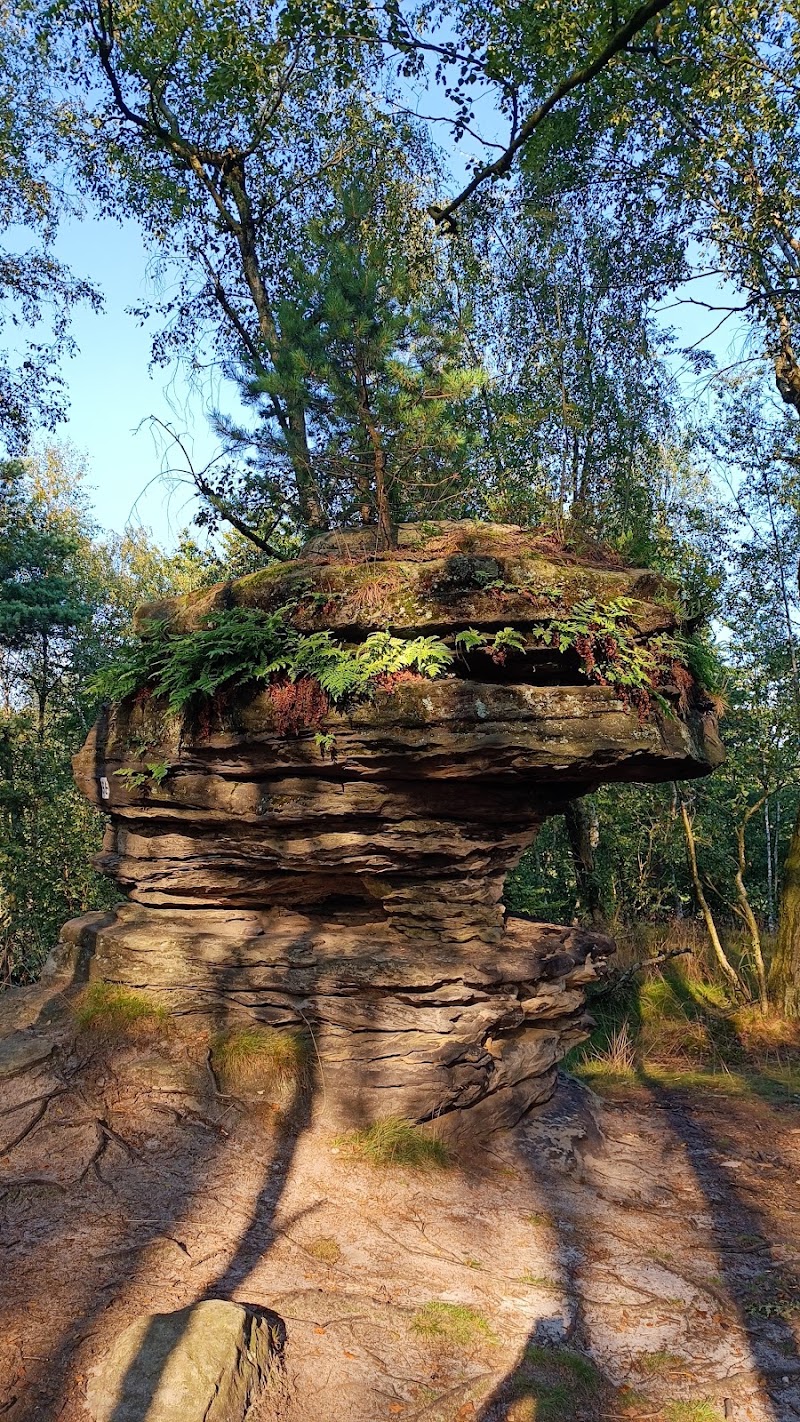 Parkoviště pod chatou Tisá - Parkoviště pod chatou Tisá, 403 36 Tisá, Czechia