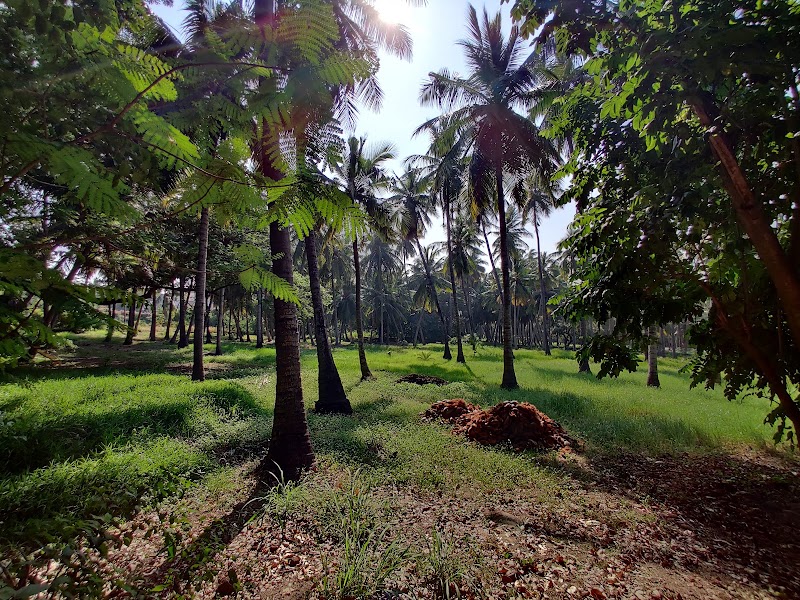 The Theosophical Society - The Theosophical Society, Arunachalapuram, Adyar, Chennai, Tamil Nadu 600020, India