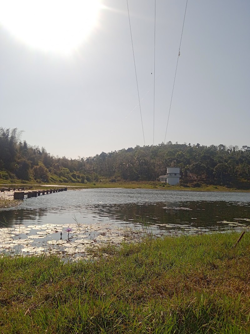 Wayanad Guide - Wayanad Guide, Meppadi, Natham Kuni, Kalpetta, Meppadi, Keralam 673577, India