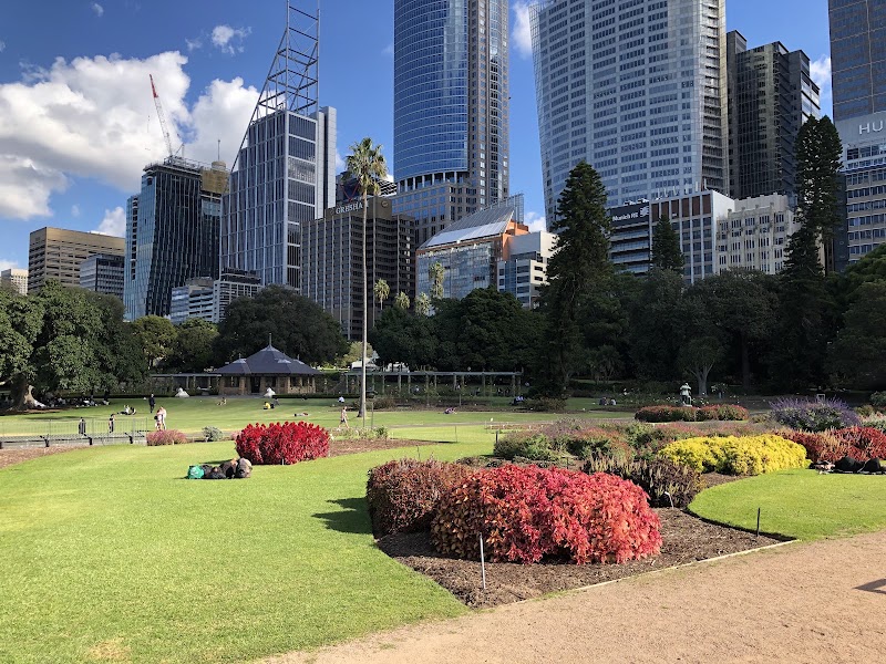 Royal Botanic Garden Sydney - Royal Botanic Garden Sydney, Mrs Macquaries Rd, Sydney NSW 2000, Australia